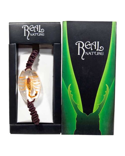 Insect Bracelet - Scorpion