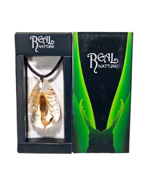 Insect Pendant - Scorpion