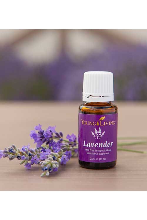 Hasil gambar untuk lavender essential oil young living