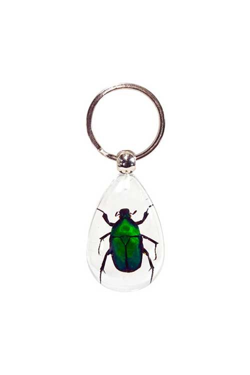 Insect Keychains - Green Beetle